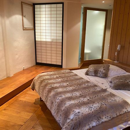 Appartement 103M2 Pres De Megeve, 2 Chambres, Grand Garage, Tennis En Ete 代米考迪亚 外观 照片