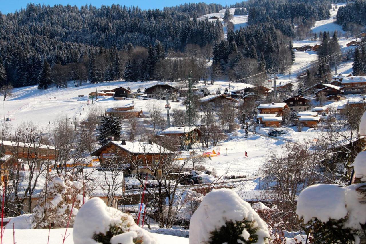 Appartement 103M2 Pres De Megeve, 2 Chambres, Grand Garage, Tennis En Ete 代米考迪亚 外观 照片
