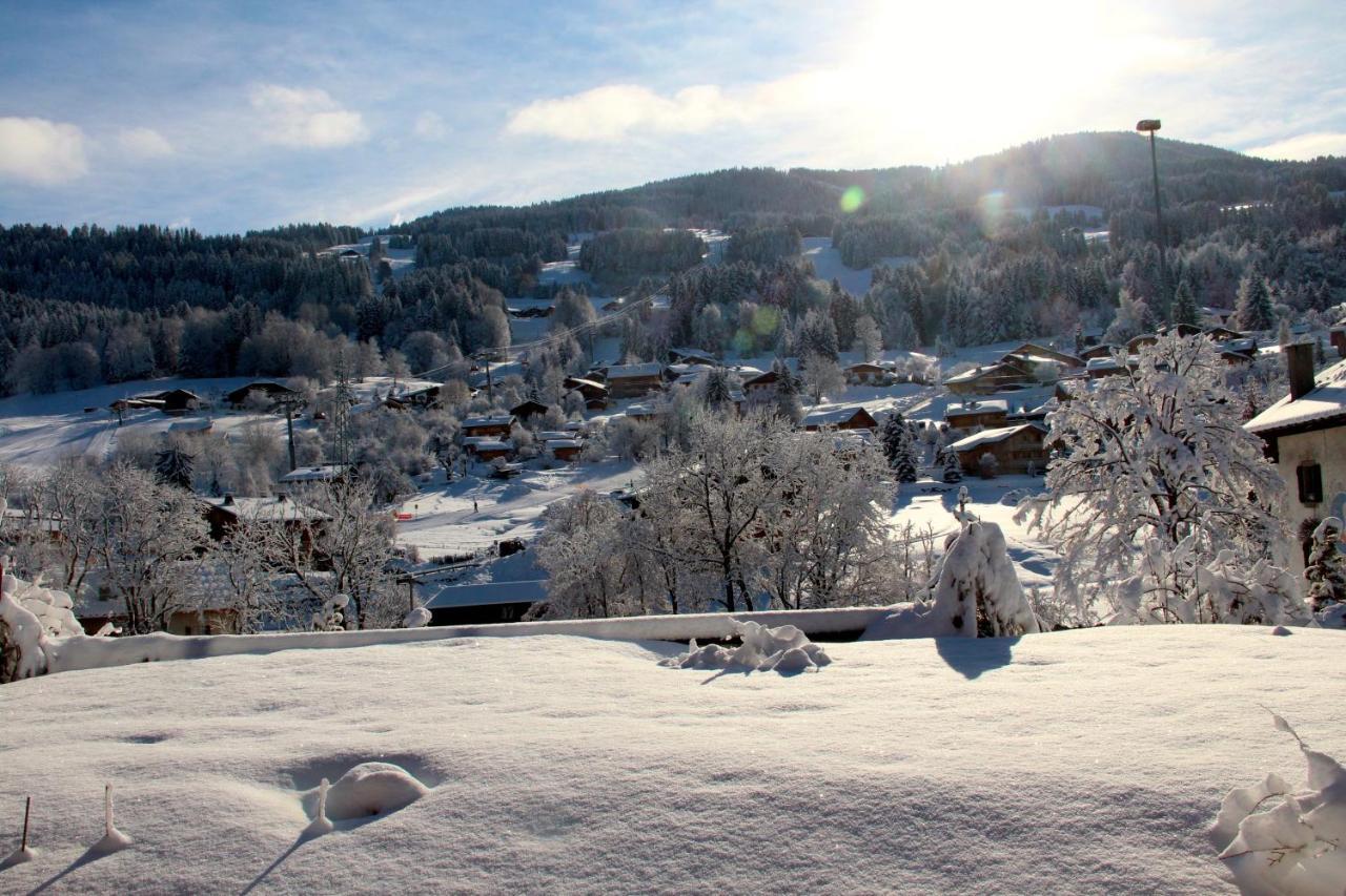 Appartement 103M2 Pres De Megeve, 2 Chambres, Grand Garage, Tennis En Ete 代米考迪亚 外观 照片